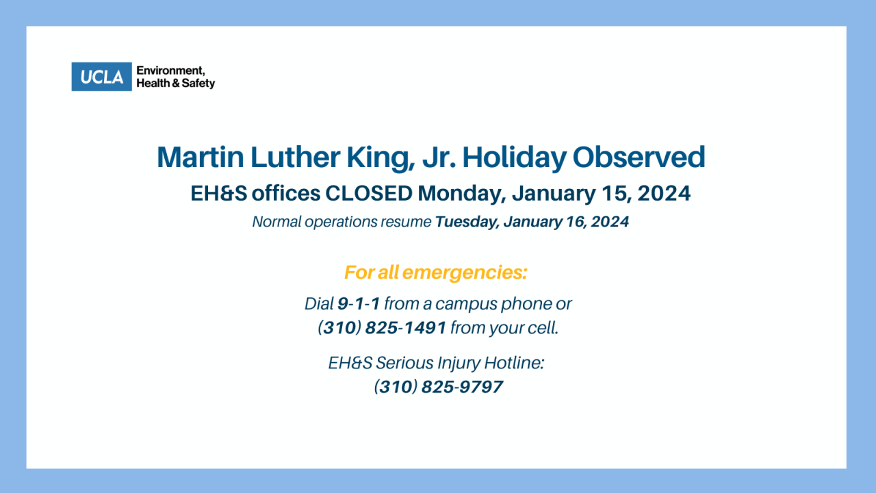 Mlk Jr Holiday 2024 Observed Halie Kerrill